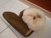 DSC01249.JPG