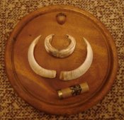 DSC01820.jpg