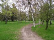 P1010001.jpg
