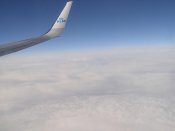 P1010012.jpg
