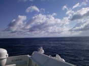 PIC-0305.jpg