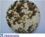df3e4b35112et.jpg
