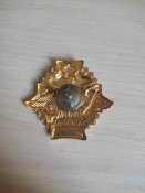 Трофейний значок мп всрф