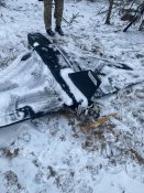 Гербера обманка