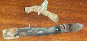 DSC00079.JPG