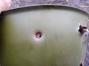 Простріленний шолом