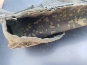 Кацапський підсумок
