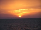 P1010005.jpg