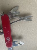 IMG_8050.jpeg