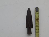 DSCN0127.JPG