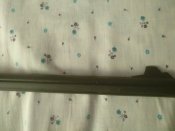 IMG_20260217_101459.jpg