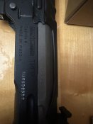 IMG_3264.jpeg