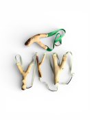 Slingshots.jpg