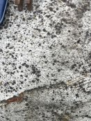 IMG_0234.jpeg