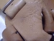 IMG_20260301_200412.jpg
