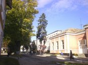 x_31900306.jpg