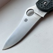 IMG_1921.jpeg