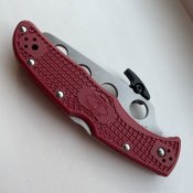 IMG_1895.jpeg