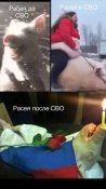рашка.jpg