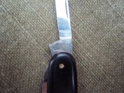 PC143403.jpg