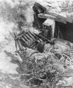 50 werfer.jpg
