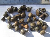 Гудзикі гирькі-30 штук.