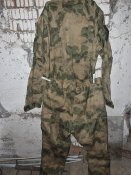 Мох кацапський, Буча.