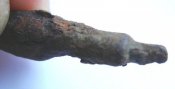 DSCN9532.jpg