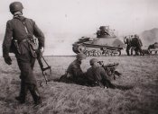d4.jpg