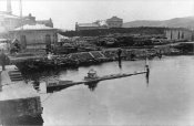 Форель_Владивостоке_октябрь 1904.jpg