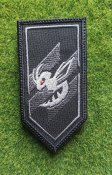 Шеврон Шершень. разведывательно-ударный...