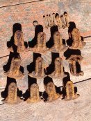 Грунтозацепы.