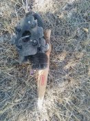 Двигун шахед