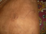 SDC13592.JPG