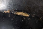 DSC_0904.JPG