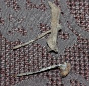 IMG_3924.JPG