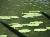 IMG_0538.JPG