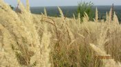 IMG_1009.JPG