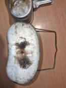 Котєлок калмика
