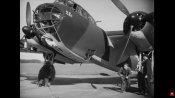 Do217_3.jpg