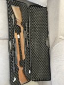 IMG_5011.jpeg
