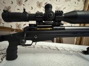 IMG_3806.jpeg