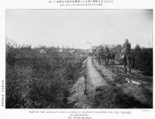 Митриевка_10 июня 1905_1.jpg