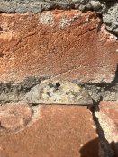 IMG_4514.jpeg