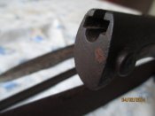 IMG_4019.JPG