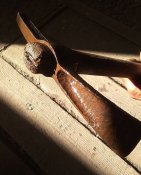 IMG_20260420_230418_047.jpg