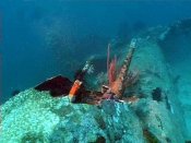 b25-turret-tail.jpg
