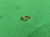 IMG_3625.JPEG