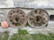 IMG_5336.jpeg