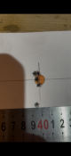 IMG_3112.png